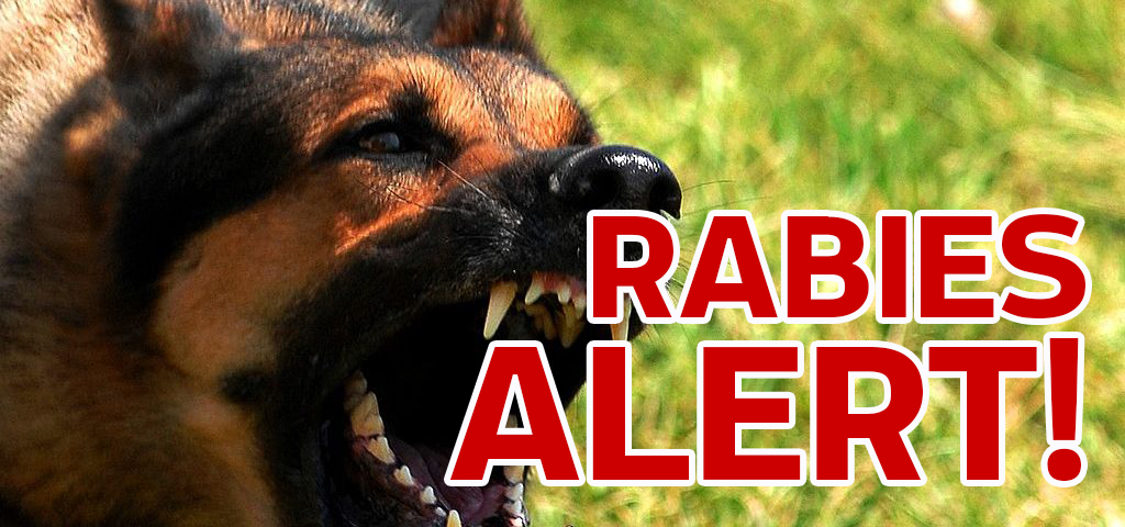rabiesalert