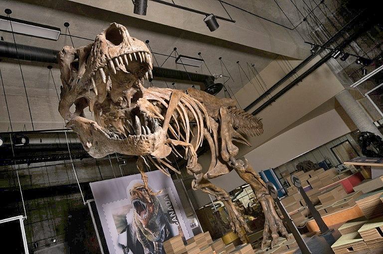 Rex