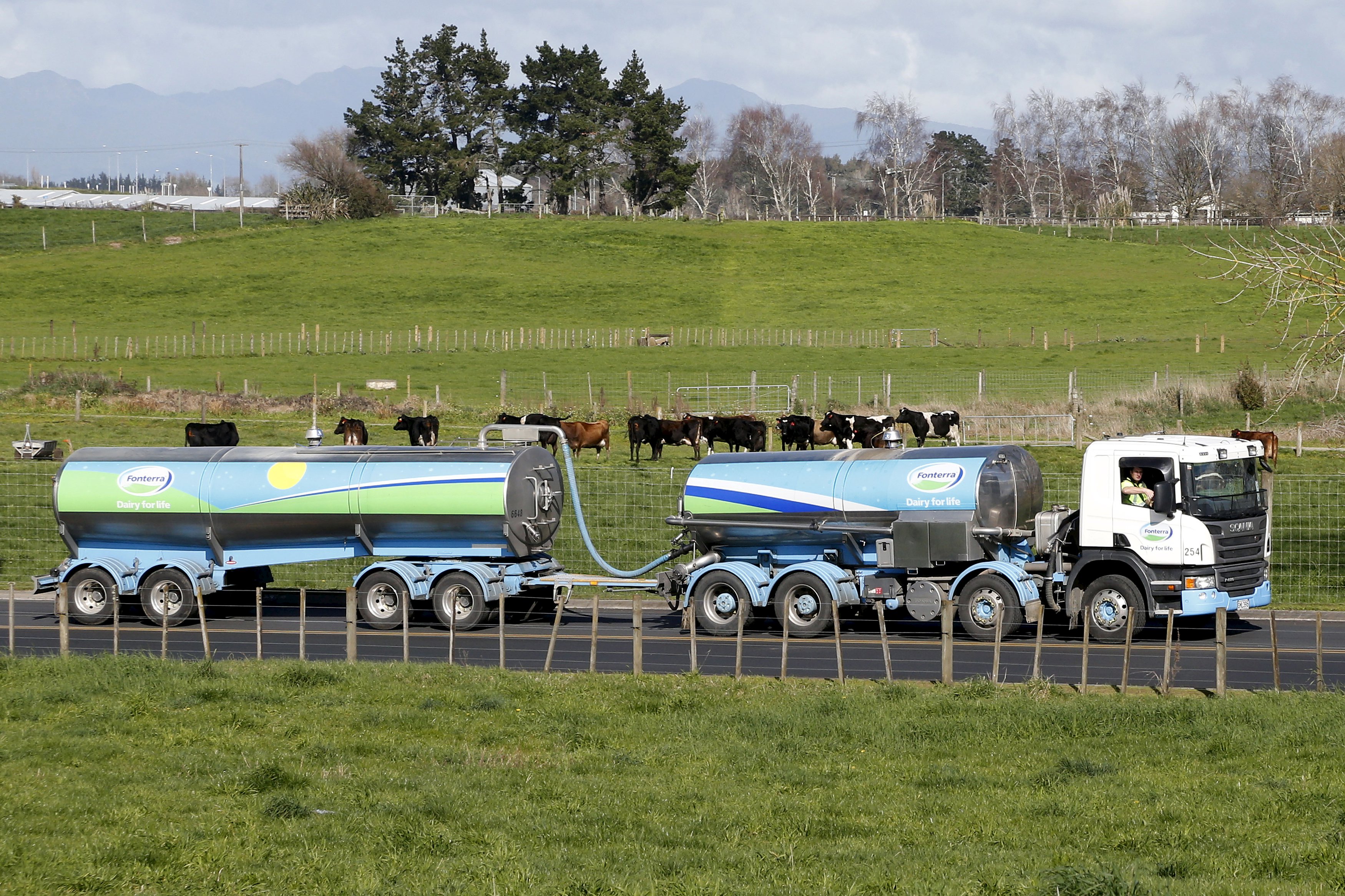 File photo of Fonterra milk tanker arriving at Fonterra's Te Rapa plant near Hamilton