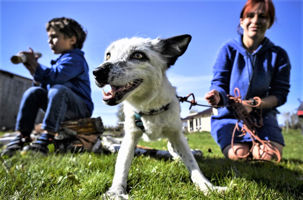 RUSSIA-NATURE-ANIMALS-SCIENCE-GENETICS
