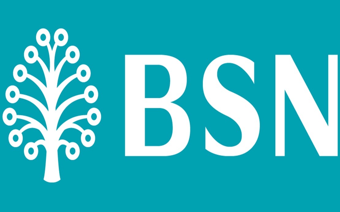 BSN logo