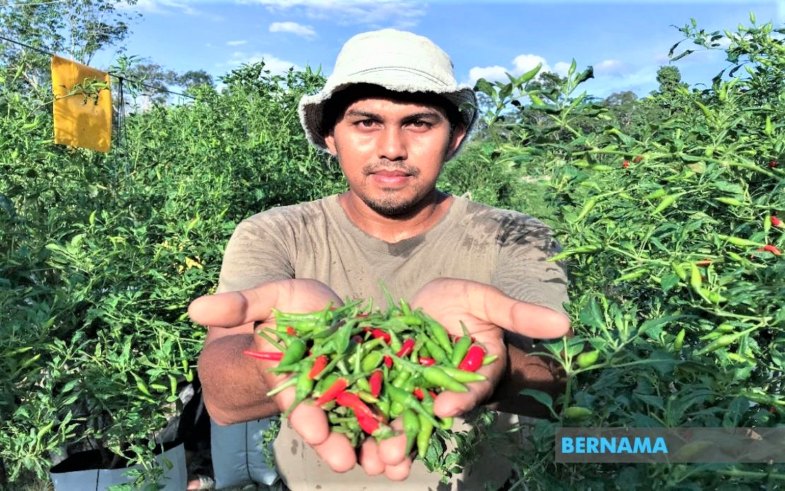 farming