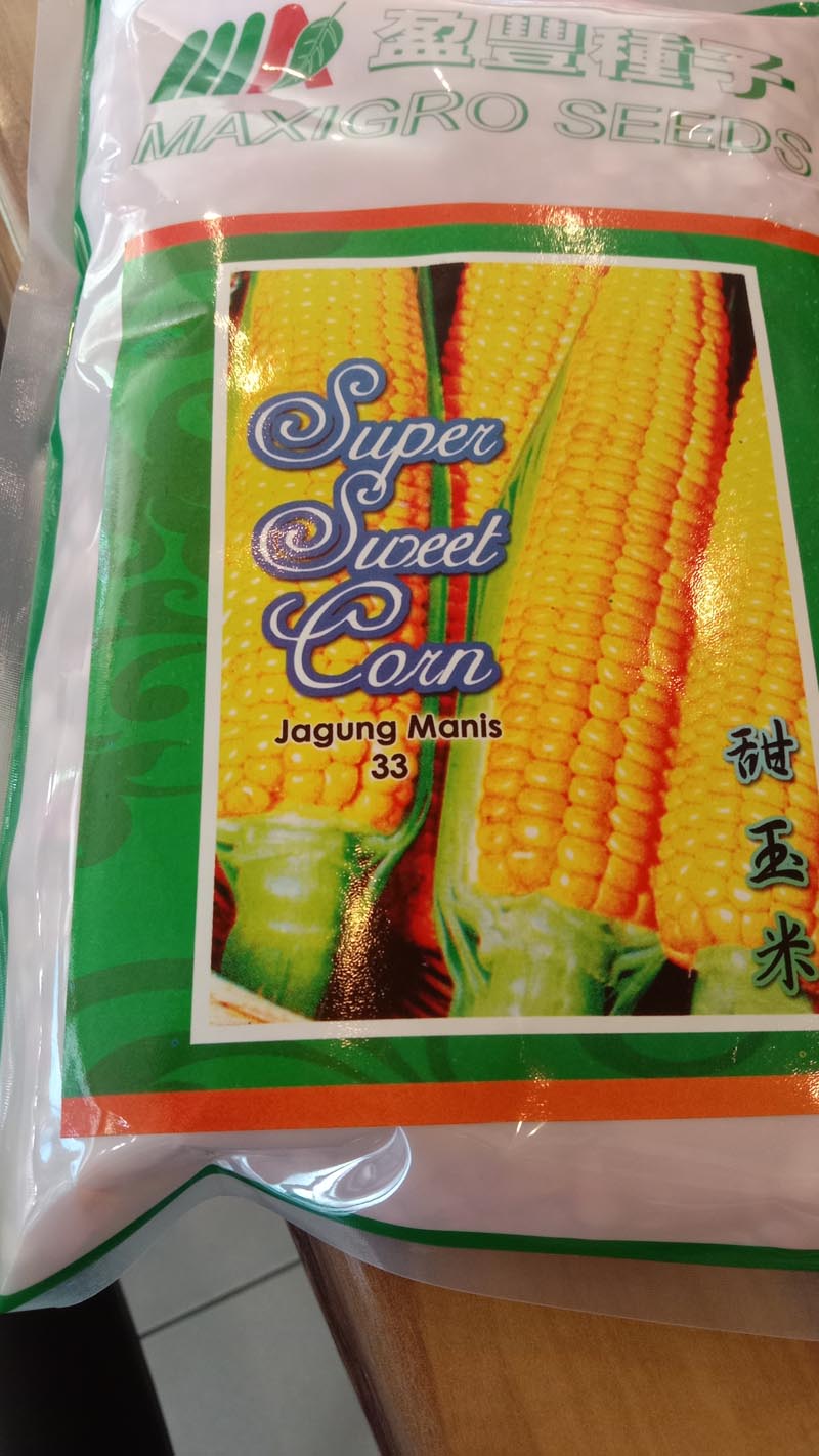 super sweet corn seed