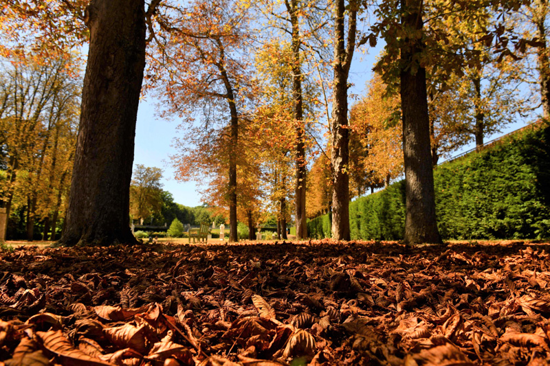 FRANCE-ENVIRONMENT-CLIMATE-WEATHER-HEAT