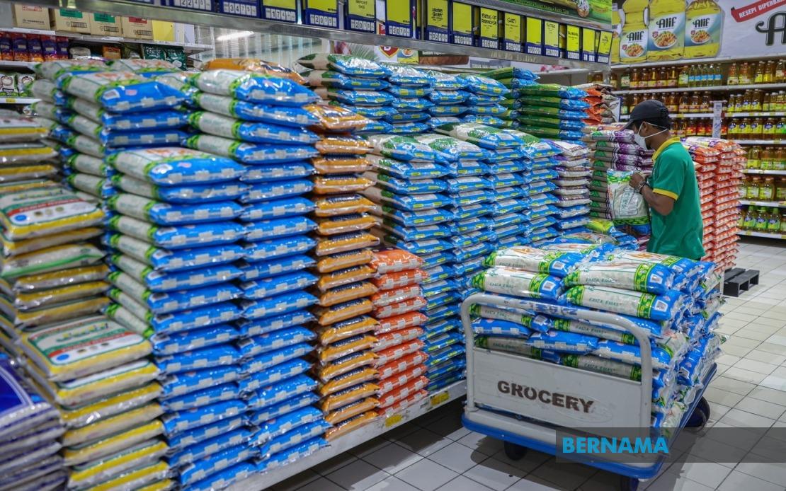 rice, white rice, paddy