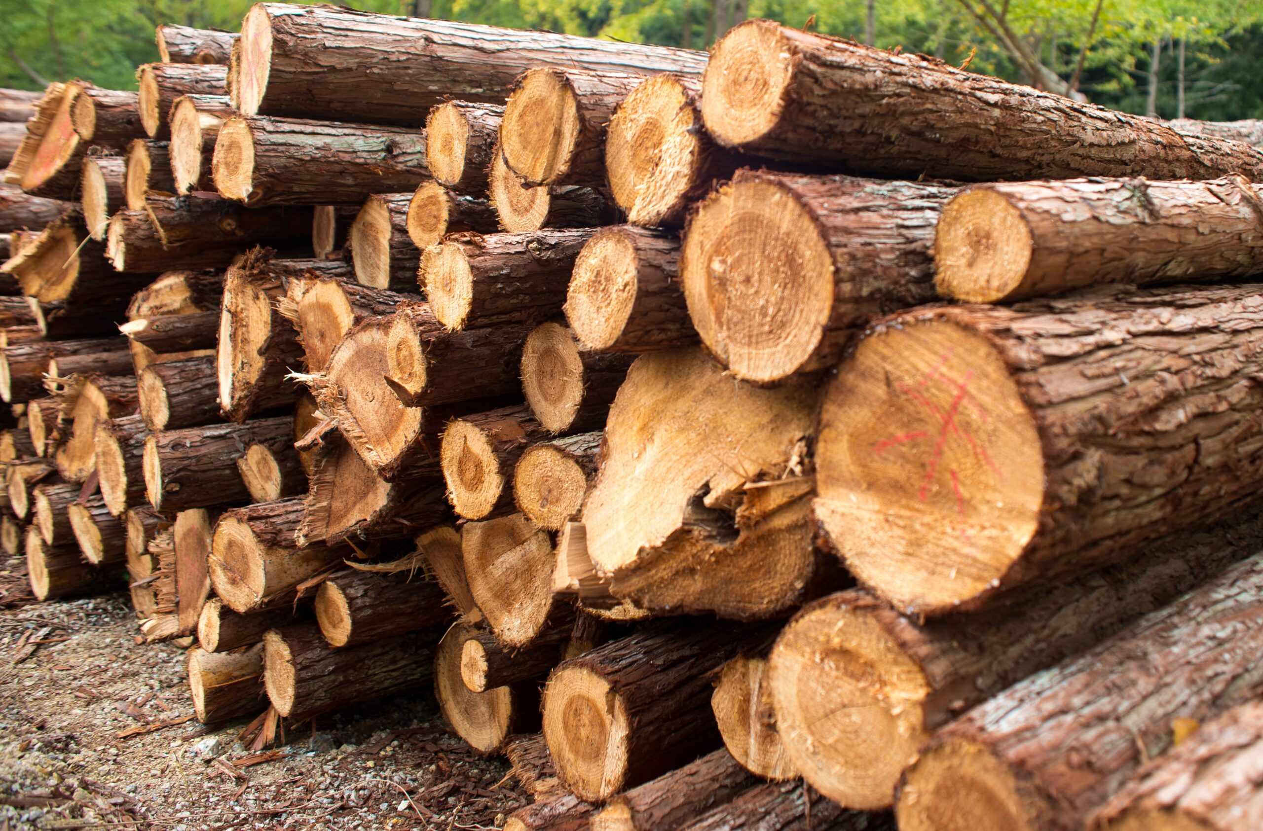 Timber,Texture