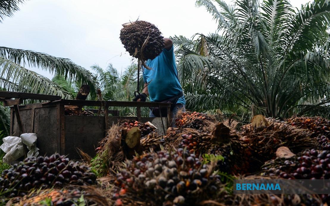 palm oil industry filler