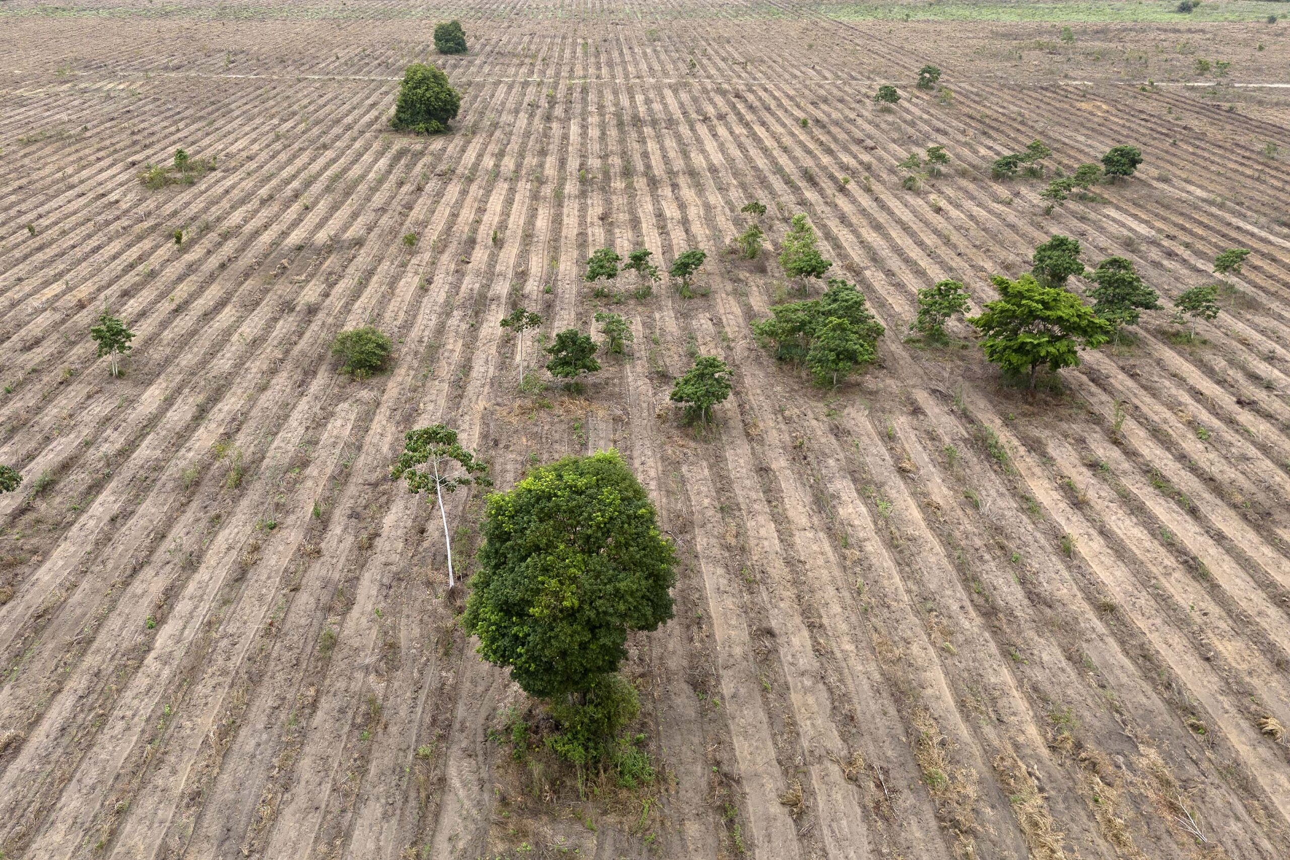BRAZIL-COP30-ENVIRONMENT-CLIMATE-AMAZONIA-CARBON-INDUSTRY