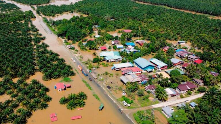 sb20-30012025-banjir-telupid-1_4933846_20250131113042