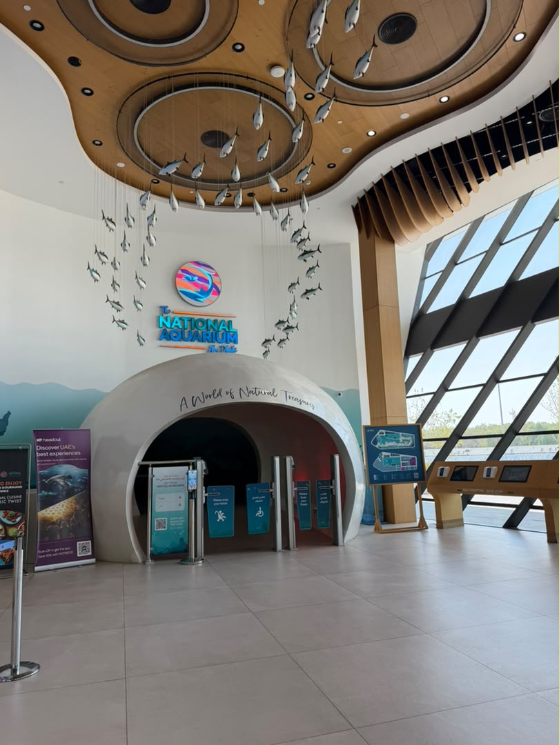 Exploring Abu Dhabi’s underwater world