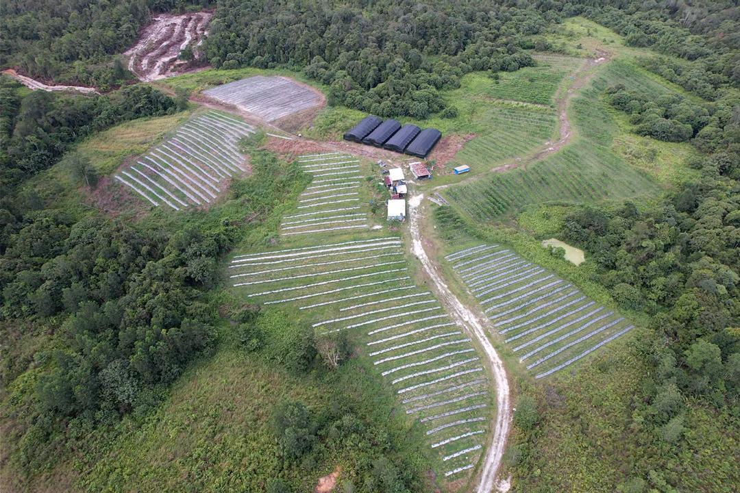 From farming to Silicon Valley