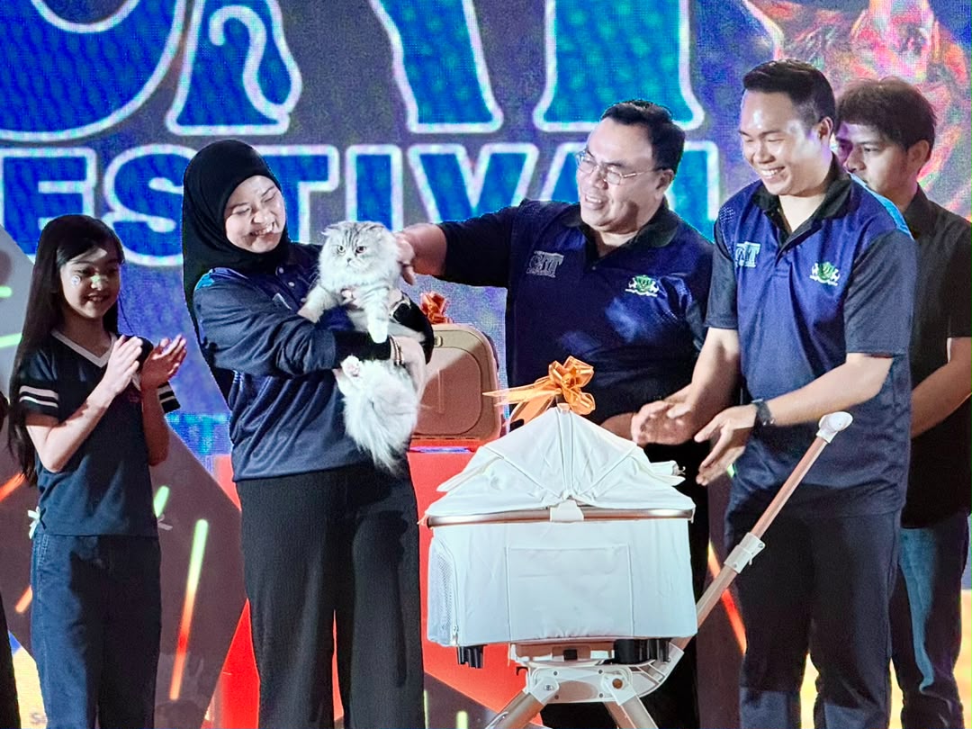Love for cats comes with responsibility